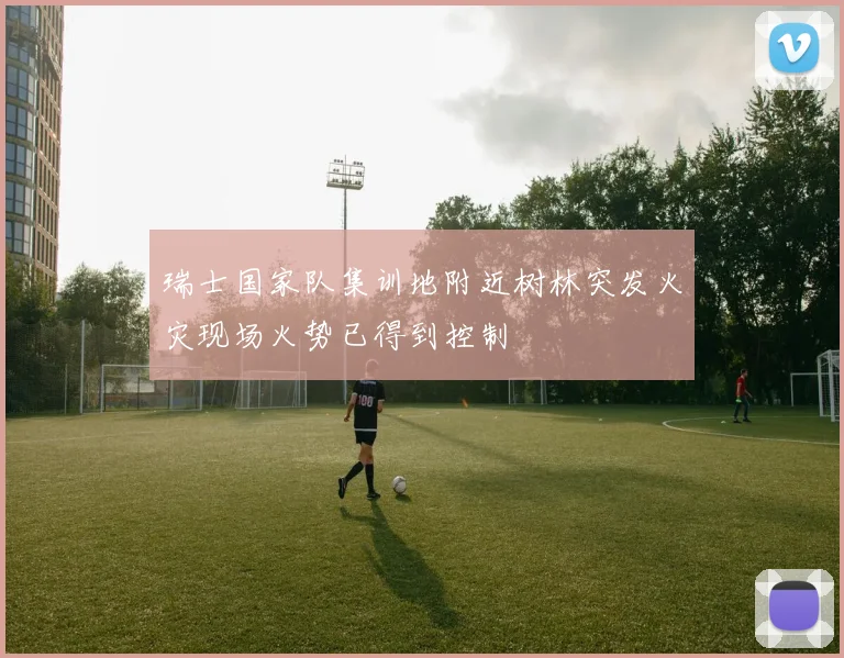 瑞士国家队集训地附近树林突发火灾现场火势已得到控制