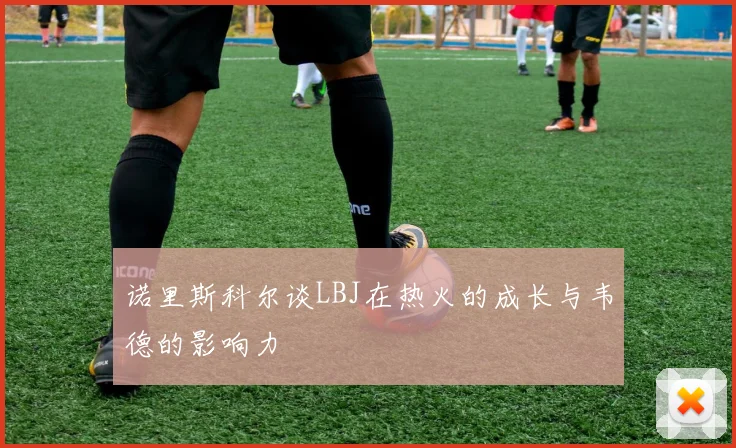 诺里斯科尔谈LBJ在热火的成长与韦德的影响力