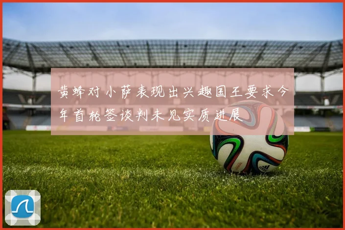 黄蜂对小萨表现出兴趣国王要求今年首轮签谈判未见实质进展